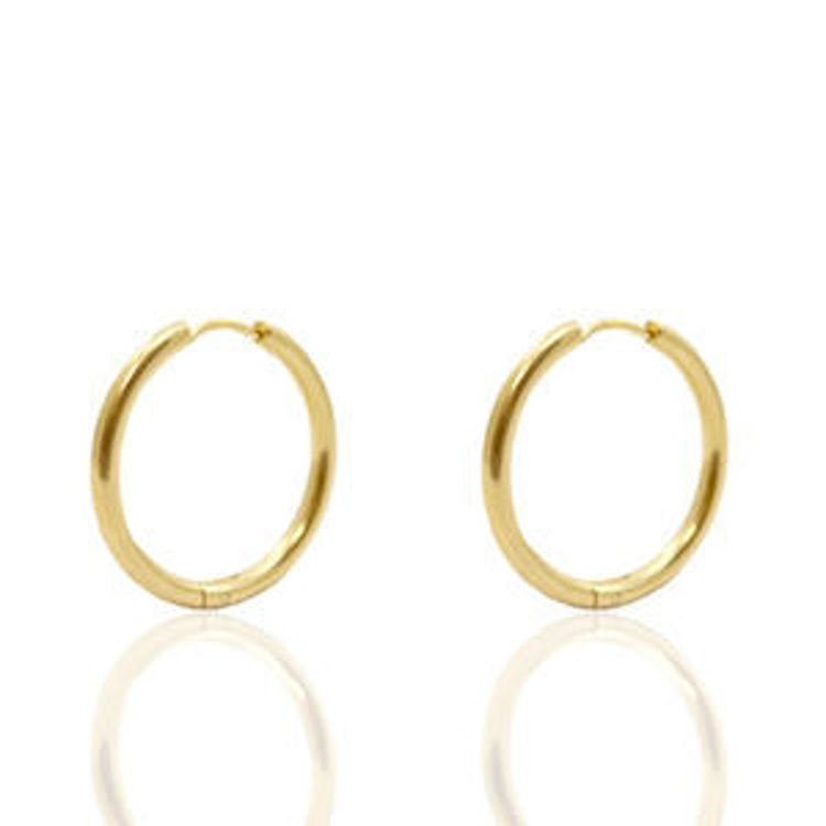 Afbeeldingen van Oorbel van Stainless steel Roestvrij staal (RVS) creool 17mm in de kleur goud